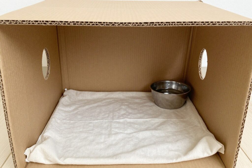 Pudełko kartonowe przygotowane jako tymczasowe schronienie dla gołębia